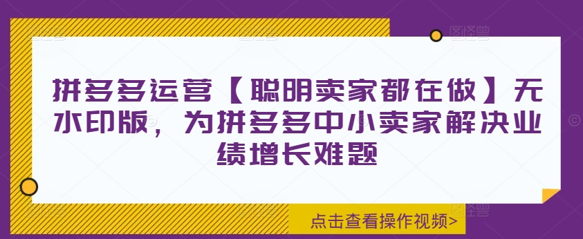 拼多多运营【聪明卖家都在做】无水印版，为拼多多中小卖家解决业绩增长难题-电脑资源自留地