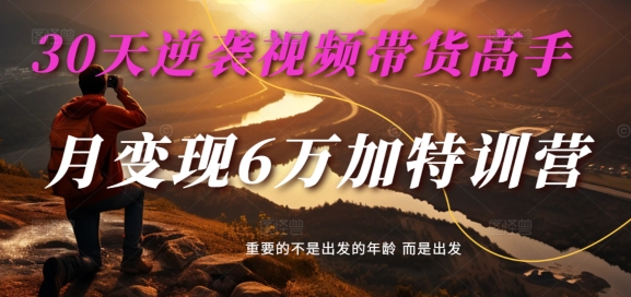 30天逆袭视频带货高手，单月变现6万加特训营-麦子甜-电脑资源自留地