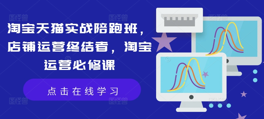 淘宝天猫实战陪跑班，店铺运营终结者，淘宝运营必修课-电脑资源自留地