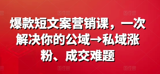 爆款短文案营销课，一次解决你的公域→私域涨粉、成交难题-电脑资源自留地