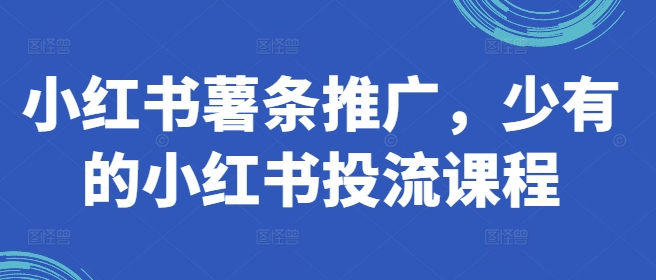 小红书薯条推广，少有的小红书投流课程-电脑资源自留地