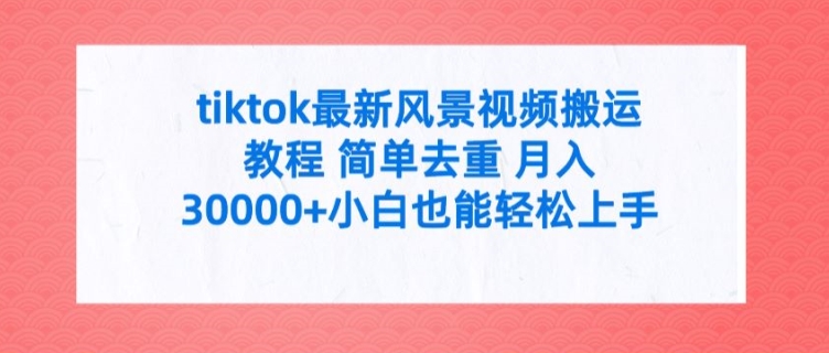 tiktok最新风景视频搬运教程 简单去重 月入3W+小白也能轻松上手【揭秘】-电脑资源自留地
