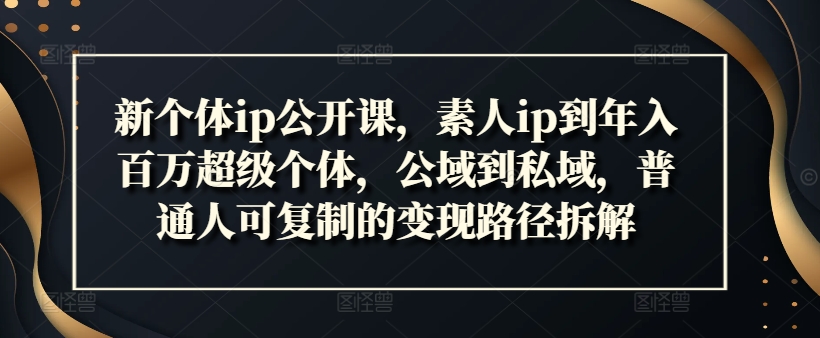 新个体ip公开课，素人ip到年入百万超级个体，公域到私域，普通人可复制的变现路径拆解-电脑资源自留地