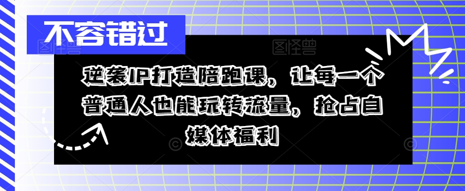逆袭IP打造陪跑课，让每一个普通人也能玩转流量，抢占自媒体福利-电脑资源自留地