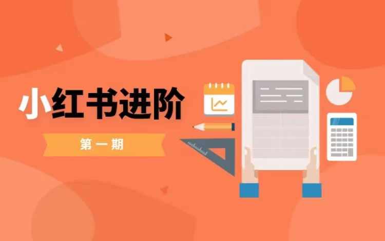 小红书进阶篇，零基础小白实战课，普通人变现的课程-电脑资源自留地