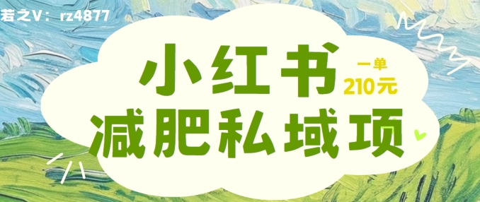 小红书减肥粉，私域变现项目，一单就达210元，小白也能轻松上手【揭秘】-电脑资源自留地