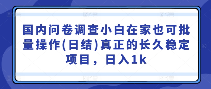 国内问卷调查小白在家也可批量操作(日结)真正的长久稳定项目，日入1k【揭秘】-电脑资源自留地
