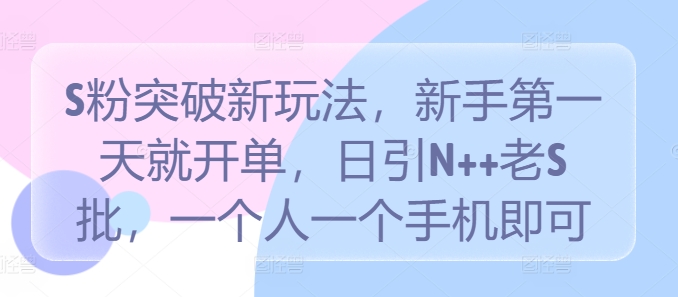 S粉突破新玩法，新手第一天就开单，日引N++老S批，一个人一个手机即可【揭秘】-电脑资源自留地