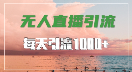 抖音快手视频号全平台通用，无人直播引流法，超暴力引流1000+高质量精准创业粉【揭秘】-电脑资源自留地
