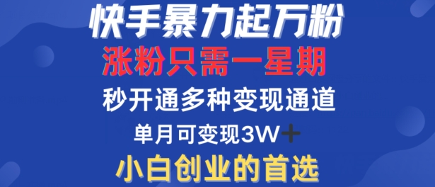 快手暴力起万粉，涨粉只需一星期，多种变现模式，直接秒开万合，单月变现过W【揭秘】-电脑资源自留地