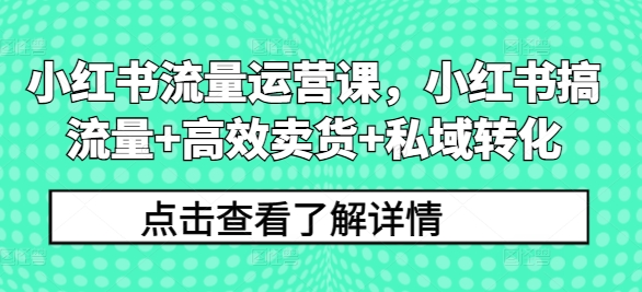 小红书流量运营课，小红书搞流量+高效卖货+私域转化-电脑资源自留地