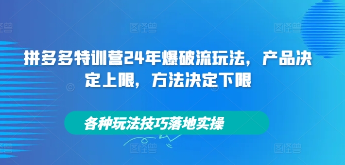 拼多多特训营24年爆破流玩法，产品决定上限，方法决定下限，各种玩法技巧落地实操-电脑资源自留地