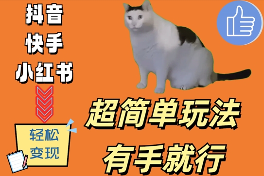 超简单玩法，有手就行，靠猫咪视频日入500+【揭秘】-电脑资源自留地