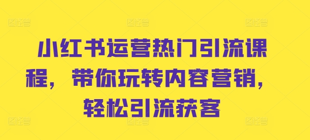 小红书运营热门引流课程，带你玩转内容营销，轻松引流获客-电脑资源自留地