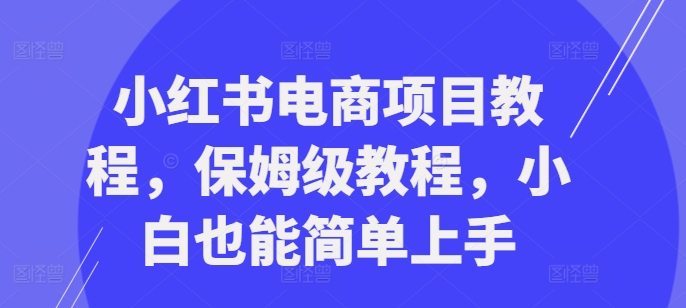 小红书电商项目教程，保姆级教程，小白也能简单上手-电脑资源自留地