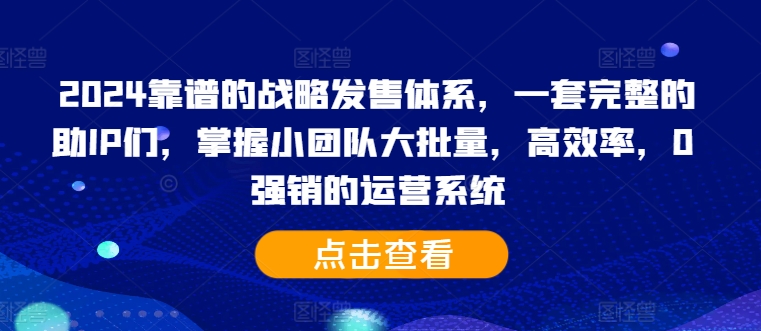 2024靠谱的战略发售体系，一套完整的助IP们，掌握小团队大批量，高效率，0 强销的运营系统-电脑资源自留地