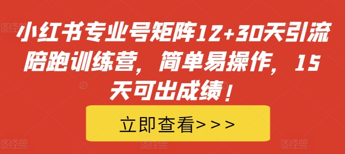 小红书专业号矩阵12+30天引流陪跑训练营，简单易操作，15天可出成绩!-电脑资源自留地