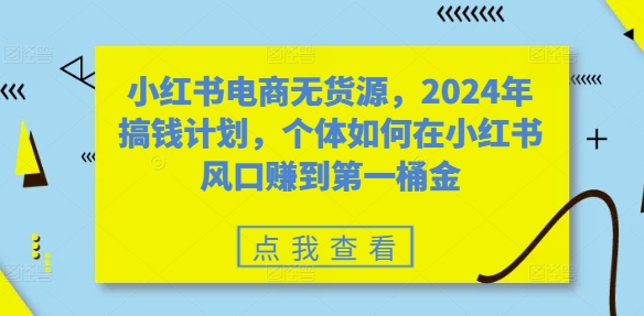 小红书电商无货源，2024年搞钱计划，个体如何在小红书风口赚到第一桶金-电脑资源自留地