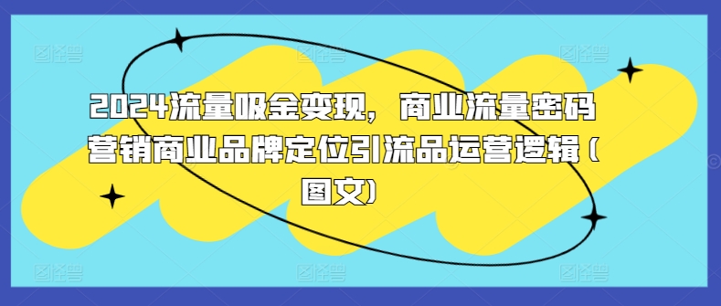 2024流量吸金变现，商业流量密码营销商业品牌定位引流品运营逻辑(图文)-电脑资源自留地