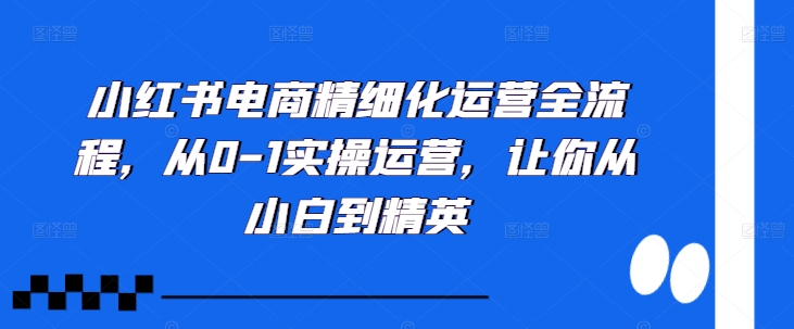 小红书电商精细化运营全流程，从0-1实操运营，让你从小白到精英-电脑资源自留地