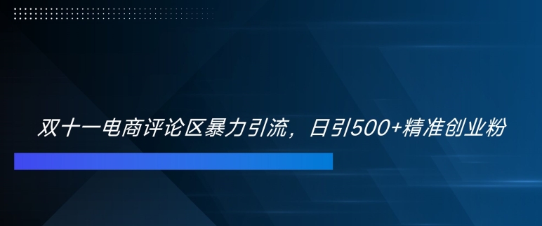 双十一电商评论区暴力引流，日引500+精准创业粉【揭秘】-电脑资源自留地