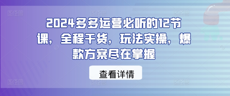 2024多多运营必听的12节课，全程干货，玩法实操，爆款方案尽在掌握-电脑资源自留地