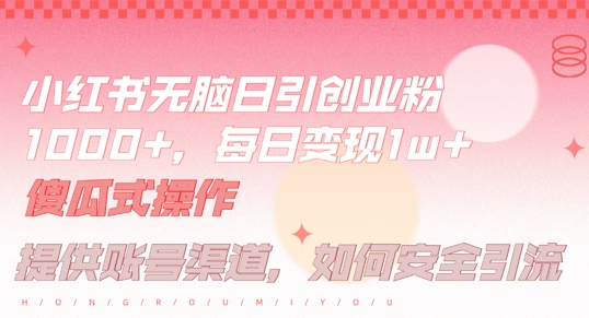 小红书无脑每日引流创业粉500+，小白每天只花半小时，躺赚长尾收益【揭秘】-电脑资源自留地
