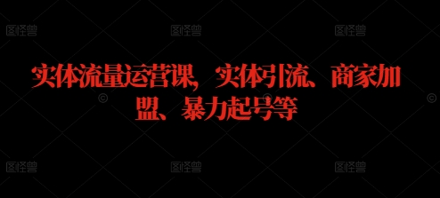 实体流量运营课，实体引流、商家加盟、暴力起号等-电脑资源自留地