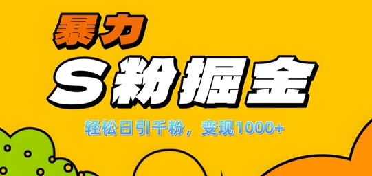 单人单机日引千粉，变现1k+，S粉流量掘金计划攻略【揭秘】-电脑资源自留地