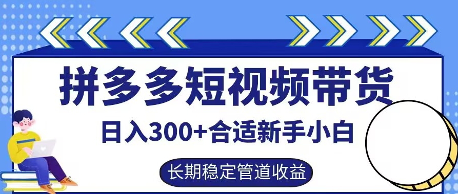 拼多多短视频带货日入300+有长期稳定被动收益，合适新手小白【揭秘】-电脑资源自留地