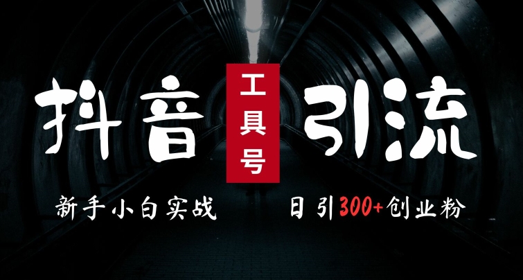 2024最新抖音工具号引流玩法，高效日引300+创业粉，当天变现5k，小白也可成为实战高手-电脑资源自留地