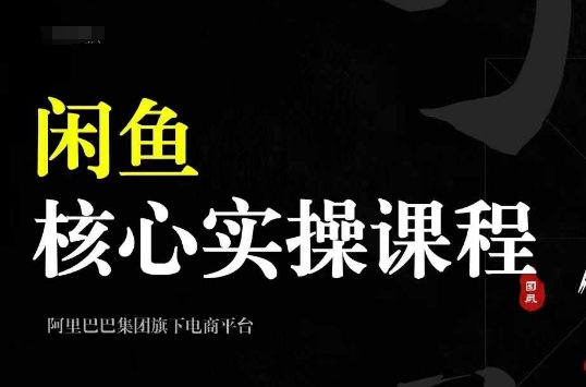 2024闲鱼核心实操课程，从养号、选品、发布、销售，教你做一个出单的闲鱼号-电脑资源自留地