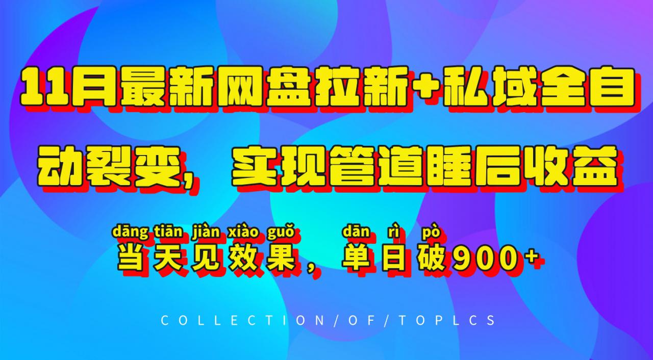 11月最新网盘拉新+私域全自动裂变，实现管道睡后收益，当天见效果，单日破900+-电脑资源自留地