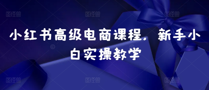 小红书高级电商课程，新手小白实操教学-电脑资源自留地