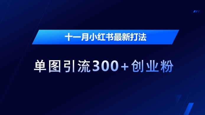 十一月小红书最新打法，单图引流300+创业粉【揭秘】-电脑资源自留地