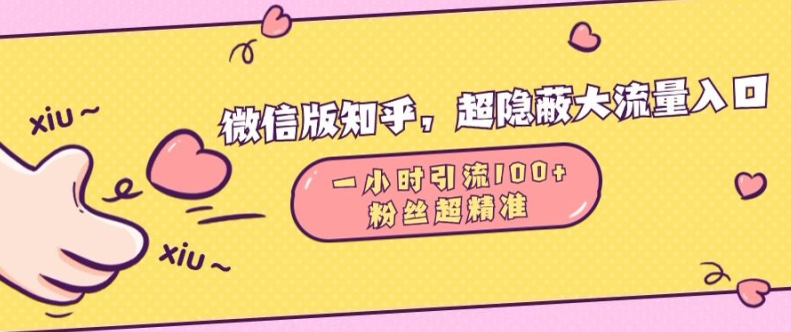 微信版知乎，超隐蔽流量入口1小时引流100人，粉丝质量超高【揭秘】-电脑资源自留地