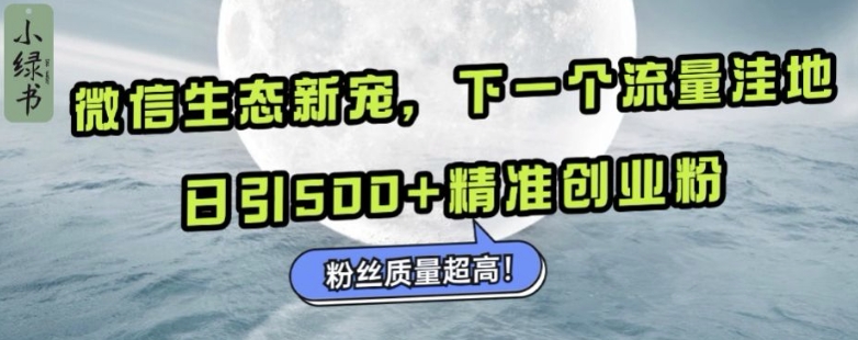 微信生态新宠小绿书：下一个流量洼地，日引500+精准创业粉，粉丝质量超高-电脑资源自留地