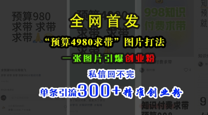 小红书“预算4980带我飞”图片打法，一张图片引爆创业粉，私信回不完，单条引流300+精准创业粉-电脑资源自留地