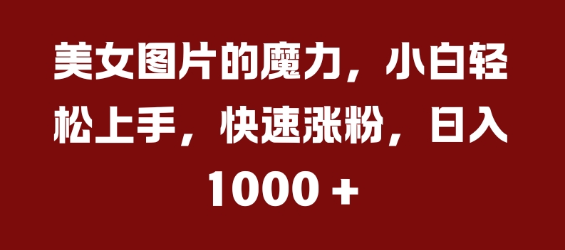 美女图片的魔力，小白轻松上手，快速涨粉，日入几张【揭秘】-电脑资源自留地
