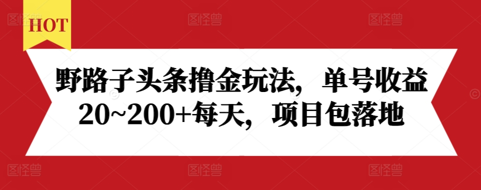 野路子头条撸金玩法，单号收益20~200+每天，项目包落地-电脑资源自留地
