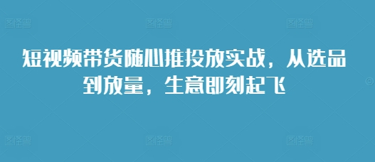 短视频带货随心推投放实战，从选品到放量，生意即刻起飞-电脑资源自留地