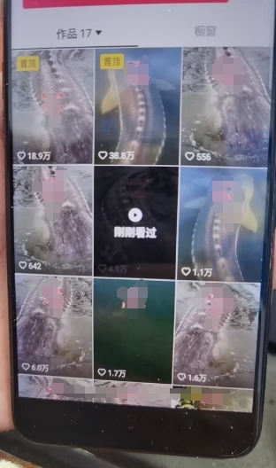 外面卖399的国学佛像原创暴力起号技术，快速起号，7天可达到一个万粉号-电脑资源自留地