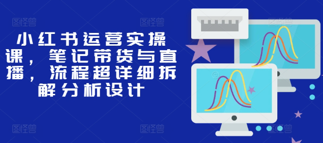 小红书运营实操课，笔记带货与直播，流程超详细拆解分析设计-电脑资源自留地