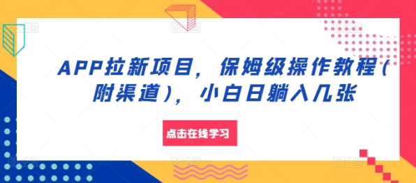 APP拉新项目，保姆级操作教程(附渠道)，小白日躺入几张【揭秘】-电脑资源自留地