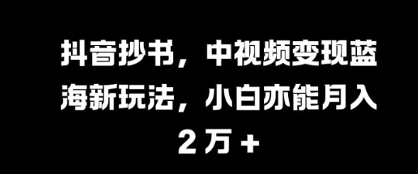 抖音抄书，中视频变现蓝海新玩法，小白亦能月入 过W【揭秘】-电脑资源自留地