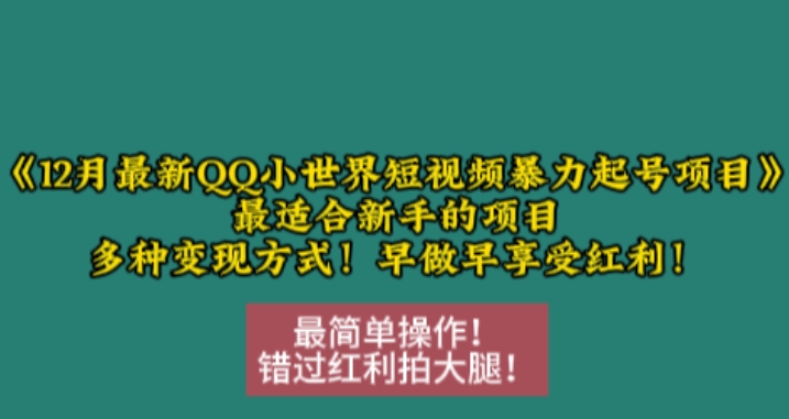 12月最新QQ小世界短视频暴力起号项目，最适合新手的项目，多种变现方式-电脑资源自留地