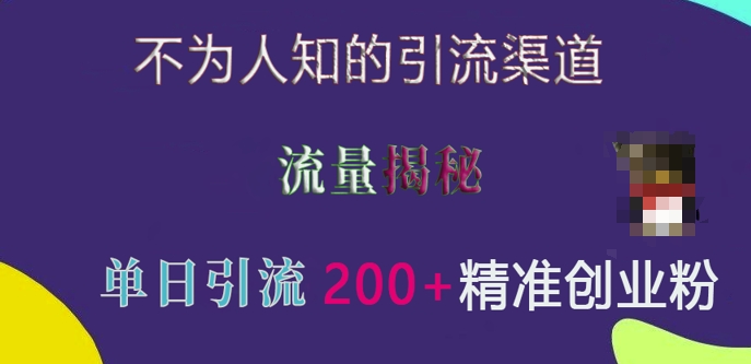 不为人知的引流渠道，流量揭秘，实测单日引流200+精准创业粉【揭秘】-电脑资源自留地
