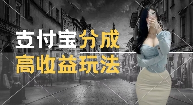 支付宝分成计划新玩法，利用交通事故视频，赚收益，轻松月入过W，操作简单【揭秘】-电脑资源自留地