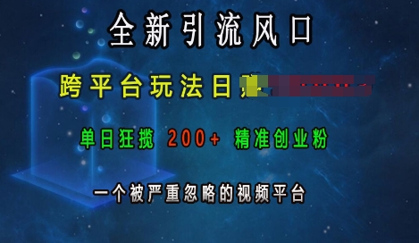 全新引流风口，跨平台玩法日入上k，单日狂揽200+精准创业粉，一个被严重忽略的视频平台-电脑资源自留地