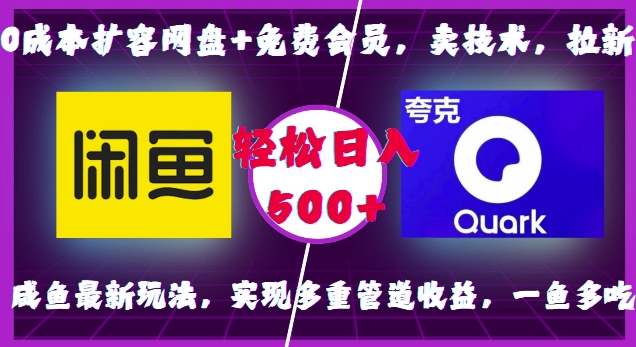 0成本扩容网盘+免费会员，卖技术，拉新，咸鱼最新玩法，实现多重管道收益，一鱼多吃，轻松日入500+-电脑资源自留地